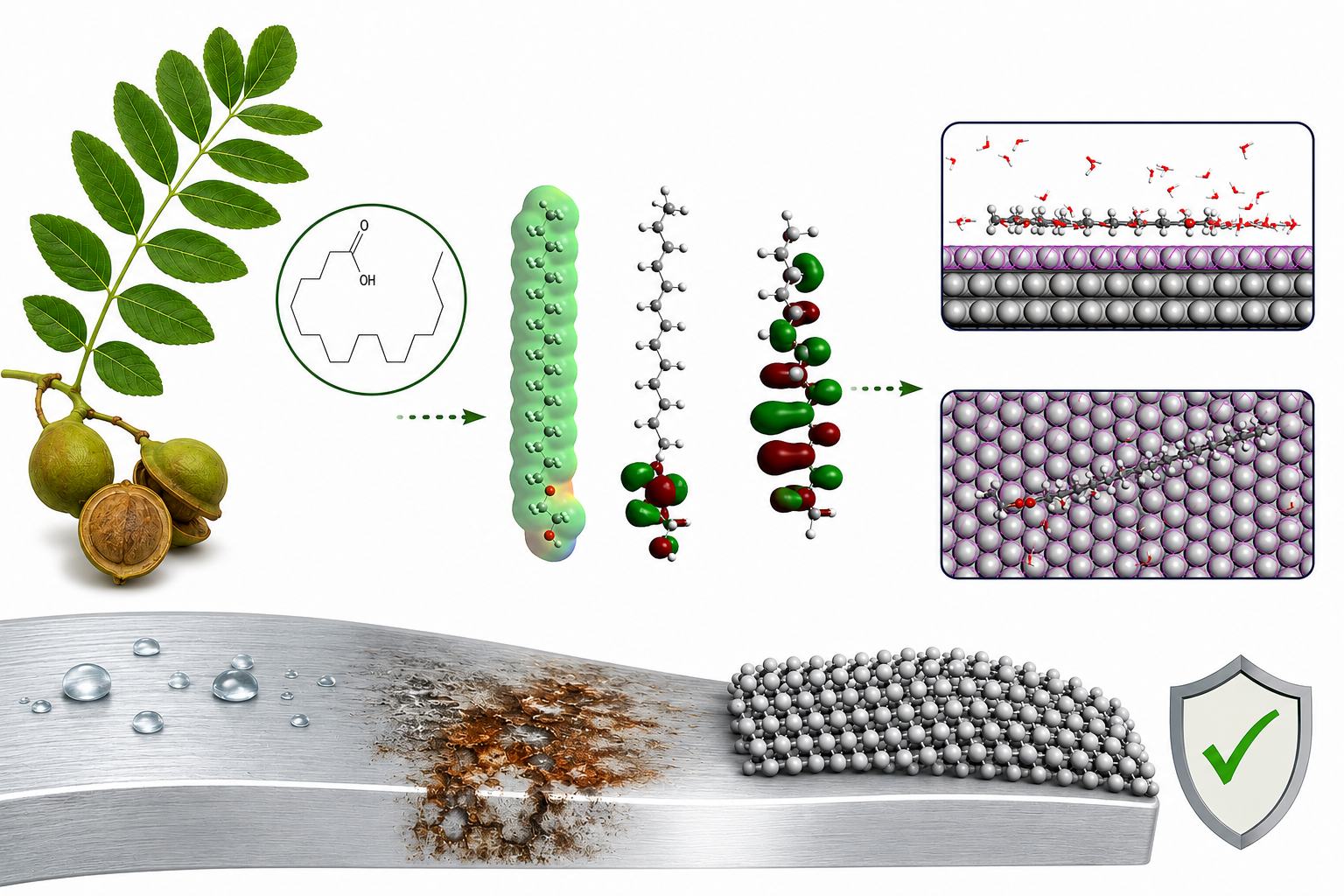 Molecular insights into the corrosion inhibition performance of Sclerocarya birrea leaf phytochemicals on aluminum: a combined DFT and Monte Carlo simulation study 